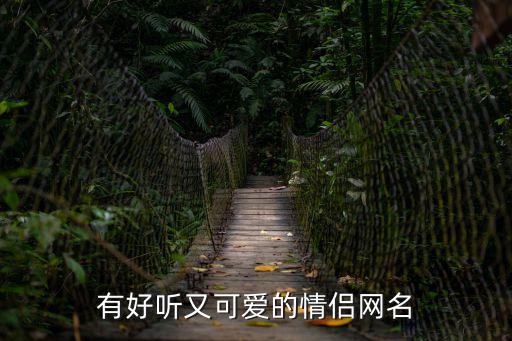 有好聽又可愛的情侶網(wǎng)名