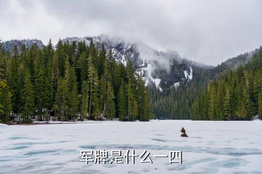 軍牌是什么一四