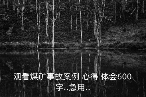 觀看煤礦事故案例 心得 體會600字..急用..