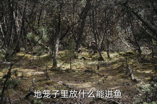 地籠放什么最招魚，地籠捕魚用什么誘