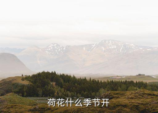 荷花荷花幾月開，荷花在什么季節(jié)什么時(shí)候開