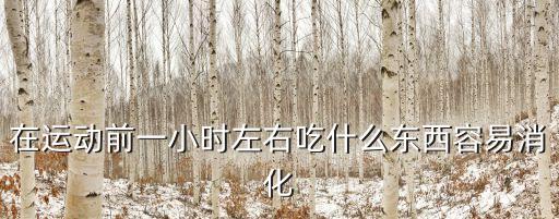 在運動前一小時左右吃什么東西容易消化