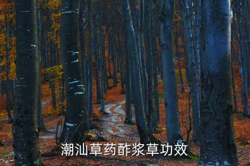 潮汕草藥酢漿草功效