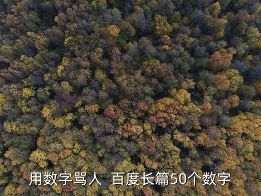 用數字罵人  百度長篇50個數字