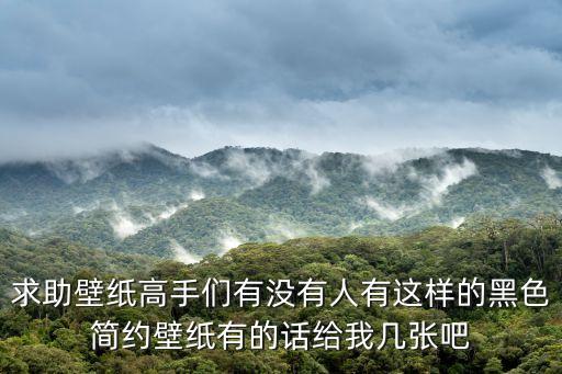 求助壁紙高手們有沒有人有這樣的黑色簡約壁紙有的話給我幾張吧