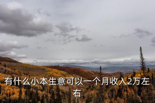 有什么小本生意可以一個月收入2萬左右
