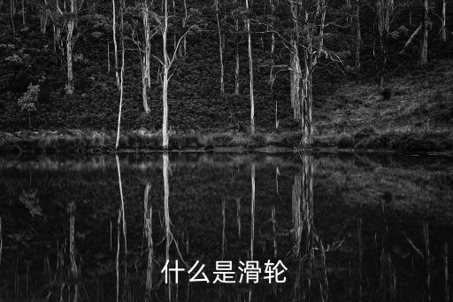 滑輪，滑輪是什么東西