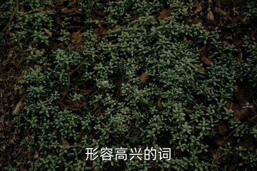形容高興的詞
