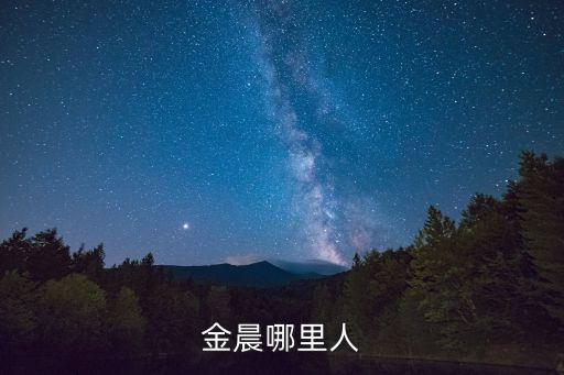 金晨資料，金莎檔案和資料是什么