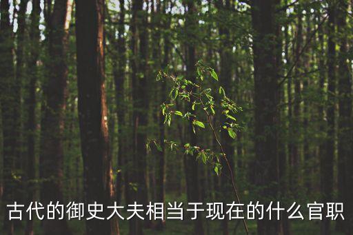 古代的御史大夫相當于現在的什么官職