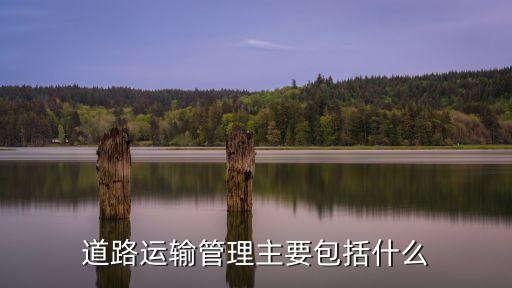 道路運輸管理主要包括什么