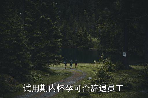 試用期懷孕，試用期內(nèi)懷孕可否辭退員工