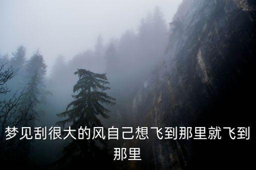 夢見風很大，夢見風很大沒看見只聽見風的聲音