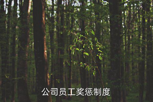 公司員工獎懲制度