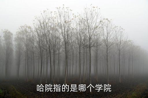 哈院指的是哪個學院