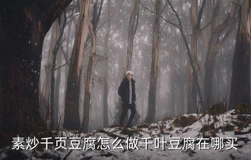 素炒千頁(yè)豆腐怎么做千葉豆腐在哪買