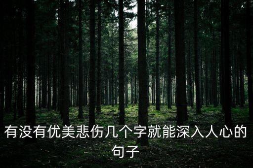 有沒有優美悲傷幾個字就能深入人心的句子
