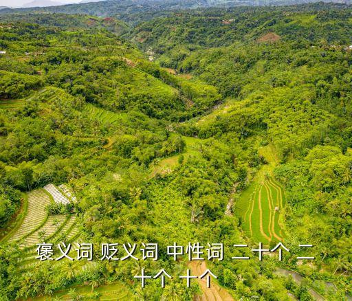 褒義詞 貶義詞 中性詞 二十個 二十個 十個
