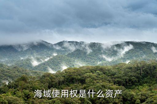 海域使用權，海域使用權是什么資產
