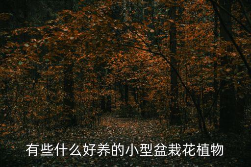有些什么好養的小型盆栽花植物
