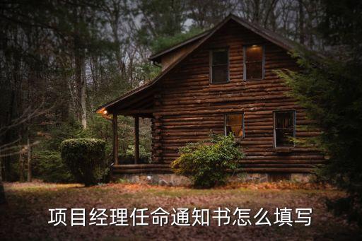 項目經理任命通知書怎么填寫