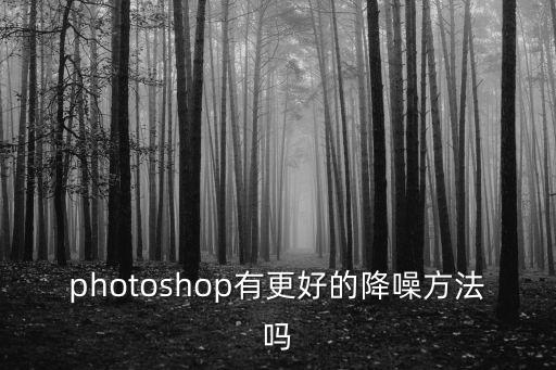 photoshop有更好的降噪方法嗎