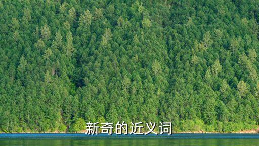 新奇的意思，新奇的具體寫一下
