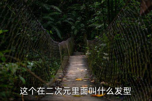這個在二次元里面叫什么發型