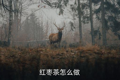 紅棗茶怎么做