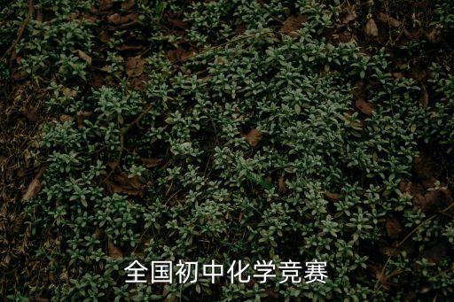初中化學競賽，全國初中化學競賽