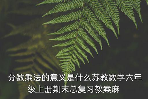  分?jǐn)?shù)乘法的意義是什么蘇教數(shù)學(xué)六年級上冊期末總復(fù)習(xí)教案麻