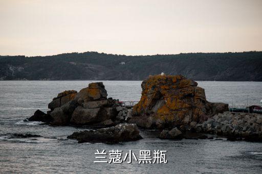 蘭蔻小黑瓶精華，蘭蔻小黑瓶好用嗎蘭蔻小黑瓶有哪些特點