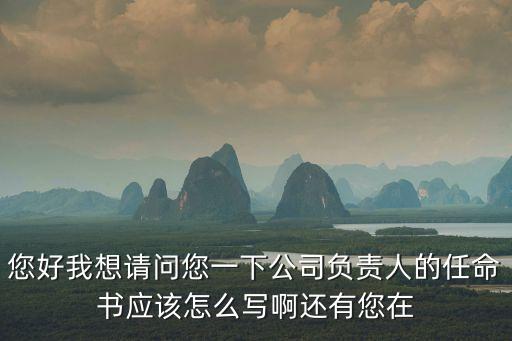 您好我想請問您一下公司負責人的任命書應該怎么寫啊還有您在