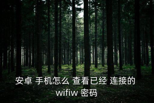 安卓 手機怎么 查看已經 連接的 wifiw 密碼