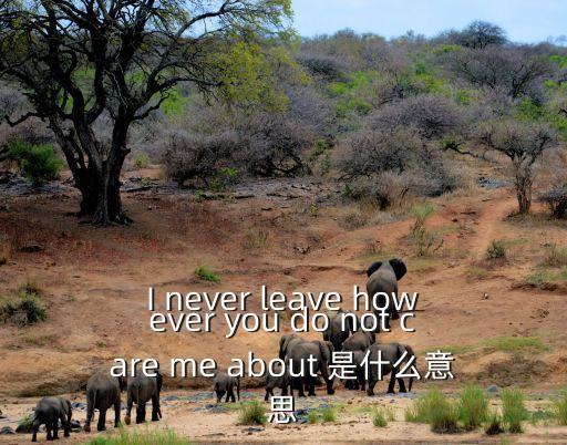 I never leave however you do not care me about 是什么意思