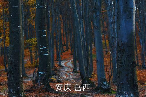 岳西政府網，安慶市社保網網址多少