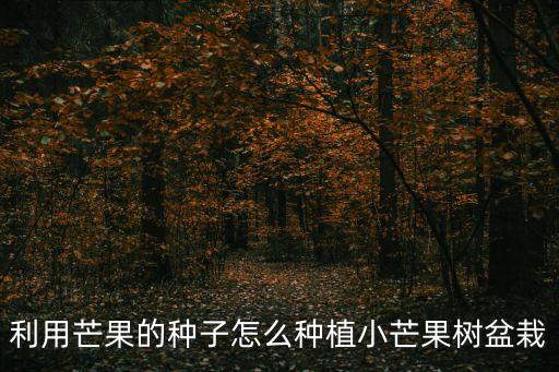 利用芒果的種子怎么種植小芒果樹盆栽