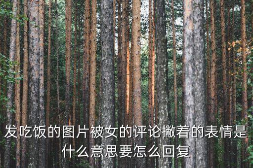 發吃飯的圖片被女的評論撇著的表情是什么意思要怎么回復