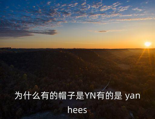 yanhee,泰國醫院和dc的異同點