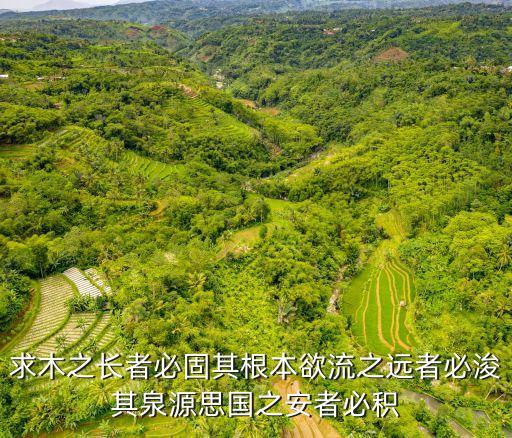 求木之長者，臣聞求木之長者必固其根本欲流之遠者必浚其泉源思國之安