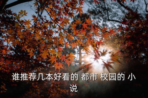 都市校園小說,黑道公子與校園小說?