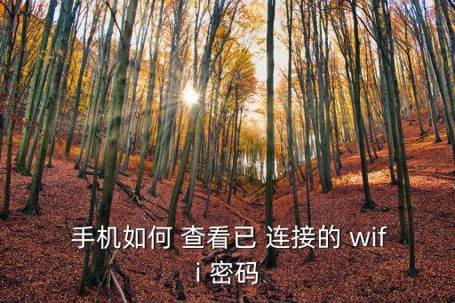  手機如何 查看已 連接的 wifi 密碼