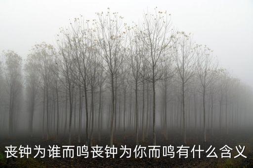 喪鐘為誰而鳴喪鐘為你而鳴有什么含義
