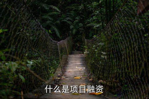 什么是項目融資