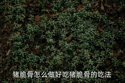 豬脆骨怎么做好吃豬脆骨的吃法