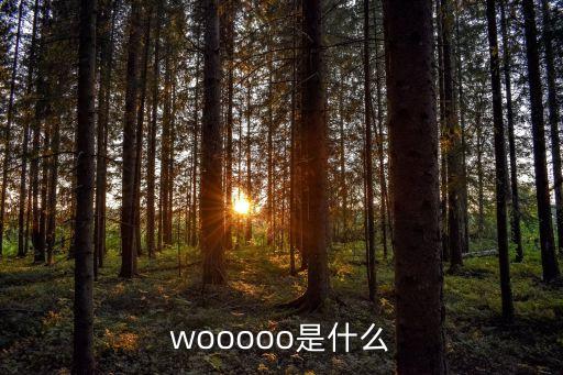 水獺是什么，wooooo是什么