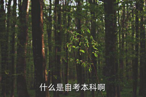 自考本科是什么意思，什么是自考本科啊
