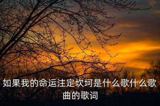 如果我的命運注定坎坷是什么歌什么歌曲的歌詞