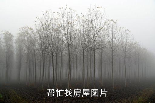 屋子圖片，單間裝修圖片 房屋裝修 單間裝修效果圖 33平米超小戶型裝修圖片