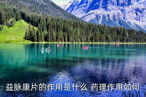 益脈康片的作用是什么 藥理作用如何